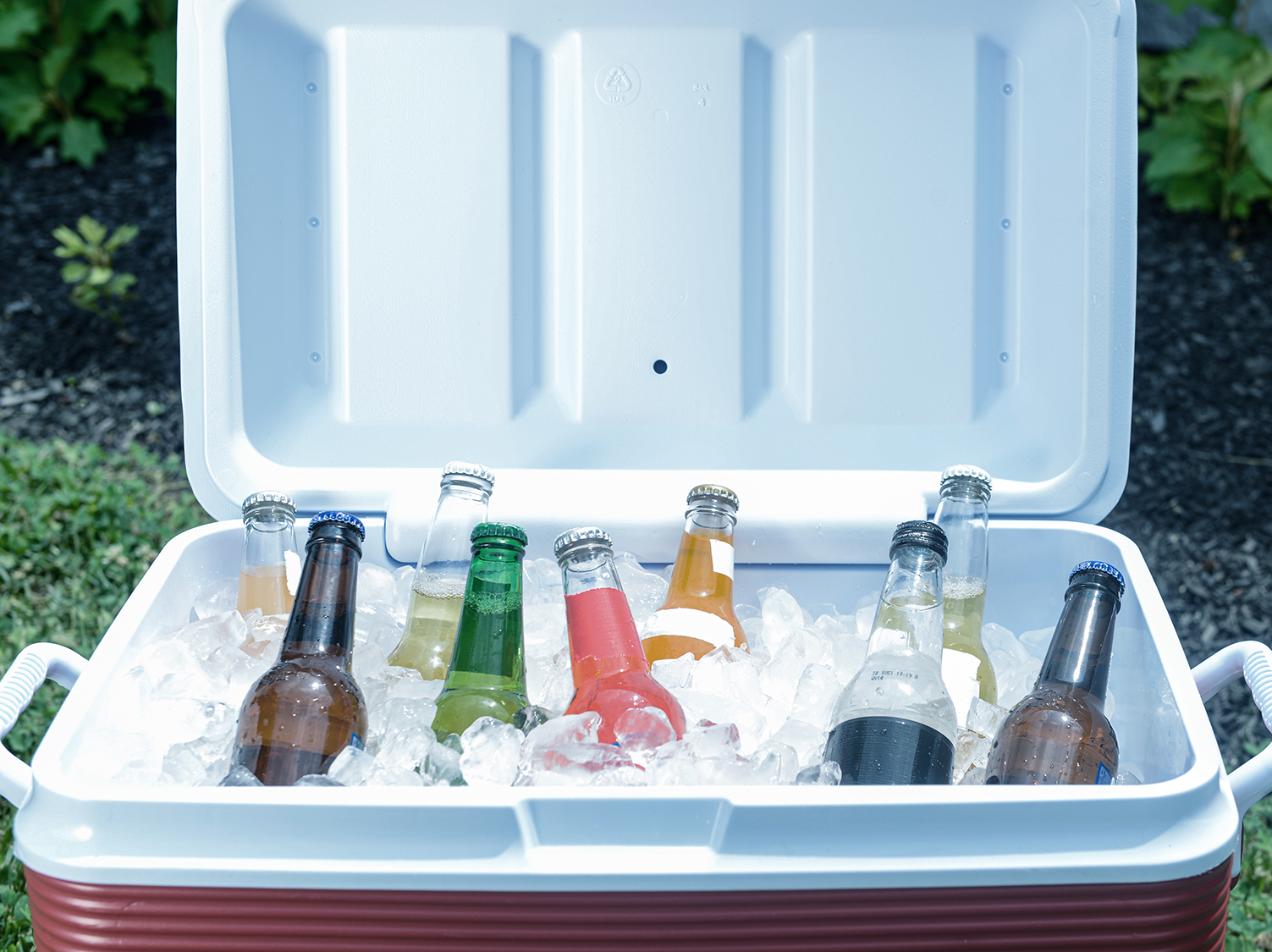 Cooler full of drinks
