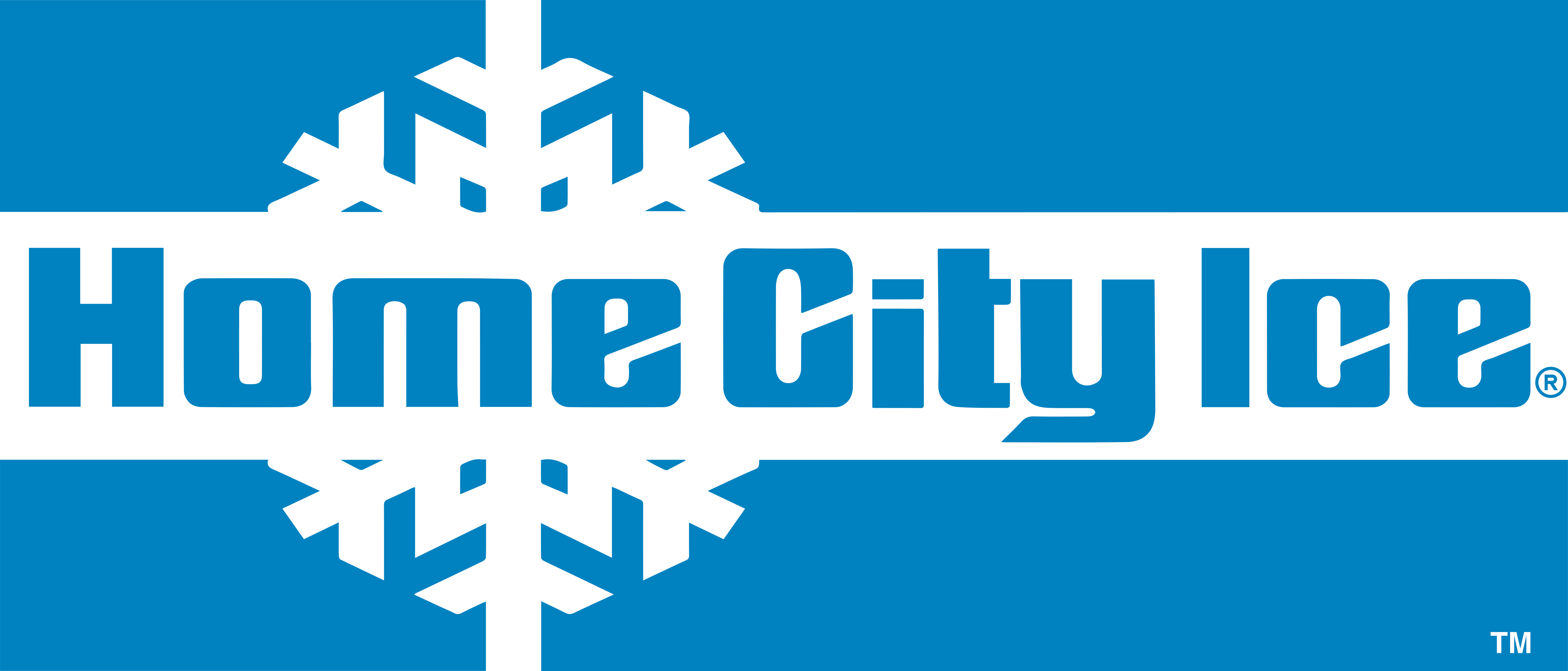 Home City Ice: The Leading Packaged Ice Supplier